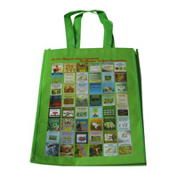 成都LB11覆膜无纺布广告袋